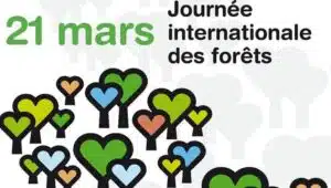 journée internationale des forêts