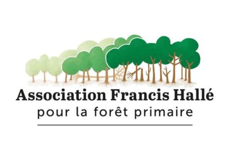 Francis Hallé, forêt primaire