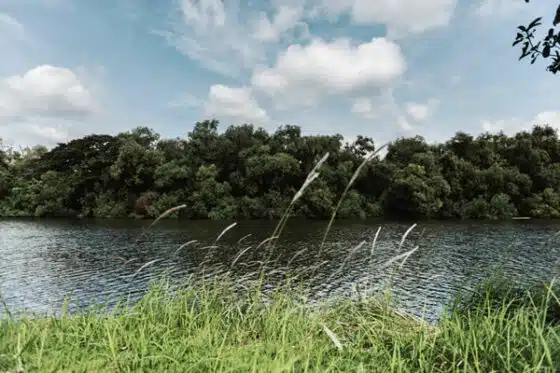 exemple d'hydrosystèmes, les lacs