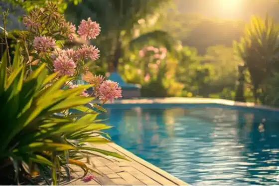 conception d'aménagement paysager autour d'une piscine