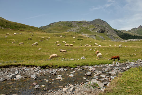 formation développement montagne