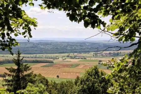 formation écosystèmes et territoires