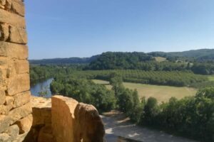 formation en écotourisme et environnement