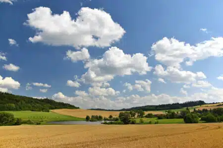 licence agronomie terroirs