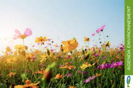 annoncer un événement en environnement