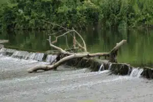 entretien des cours d'eau et rivières