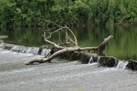 entretien des cours d'eau et rivières