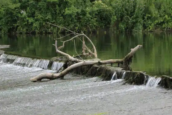 entretien des cours d'eau et rivières