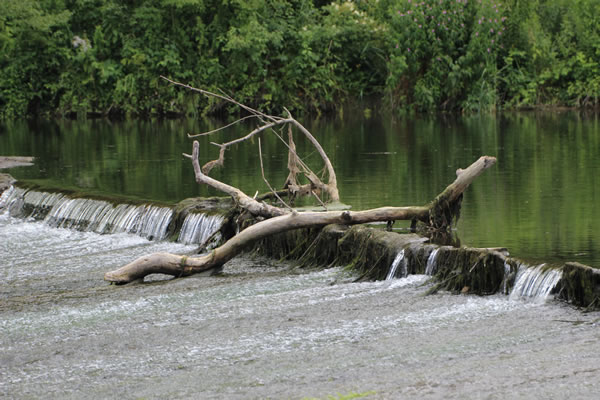 entretien des cours d'eau et rivières