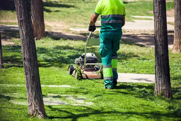 entretien des espaces verts