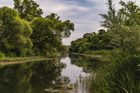 protection de la nature et environnement