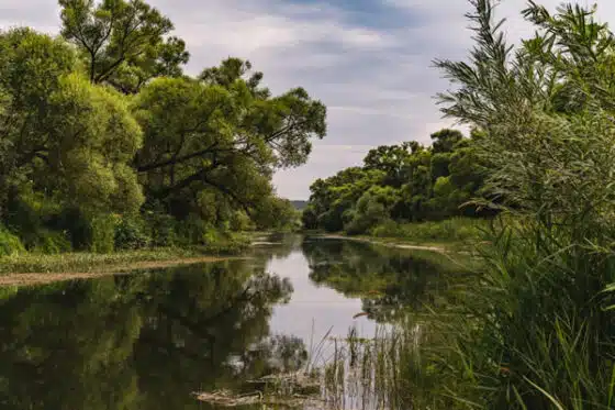 protection de la nature et environnement