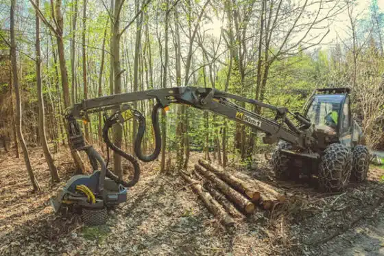 chantiers forestiers avec engin forestier