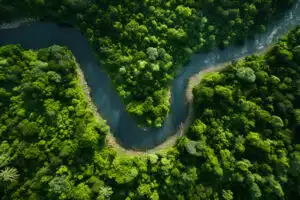 écosystèmes rivière forêt