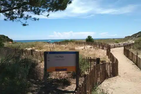 littoral méditerranéen Corse - Fautia