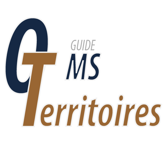 Mastères Spécialisés territoires