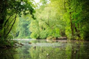 espace naturel zone humide