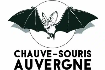 association Chauve Souris Auvergne