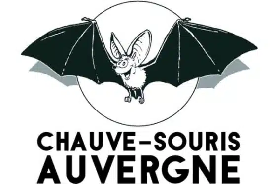 logo de l'association Chauve Souris Auvergne