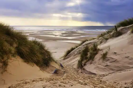 dunes du littoral