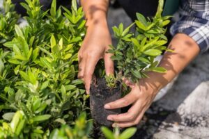 métiers de l'environnement sans le bac