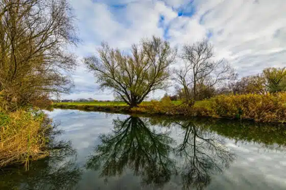 ruisseau naturel, un paysage écologique