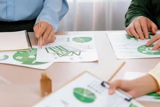 stratégie pour un développement durable