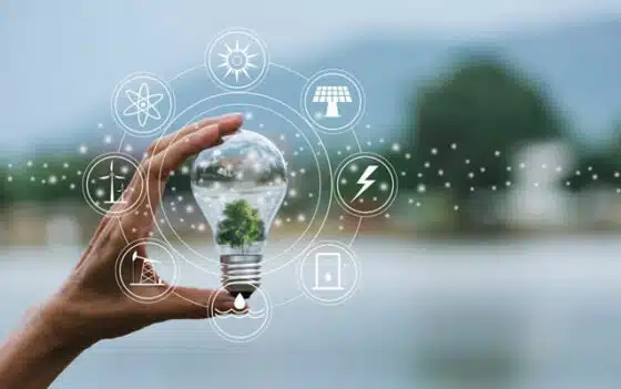 expertise dans la transition énergétique