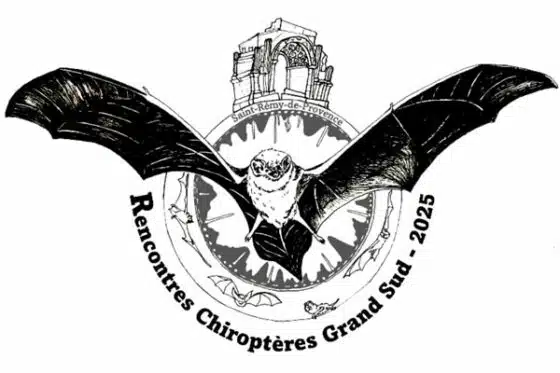 rencontres chiroptères 2025