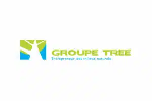 Groupe Tree