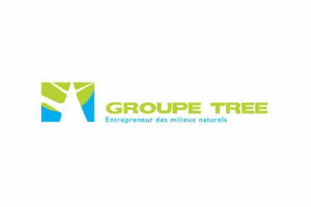 Groupe Tree