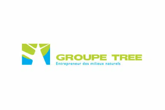 Groupe Tree