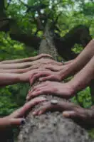 solidaires pour la transition écologique