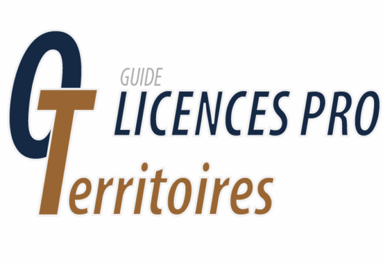 Licences pro territoires