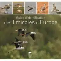 Guide d'identification des limicoles d'Europe
