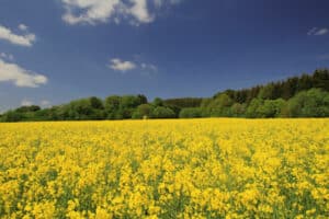 gestion des territoires et environnement