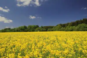 gestion des territoires et environnement