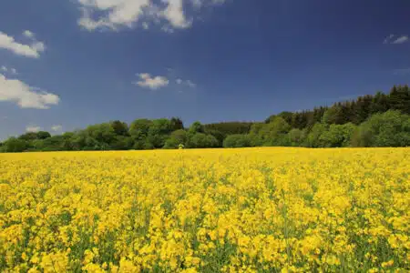 gestion des territoires et environnement