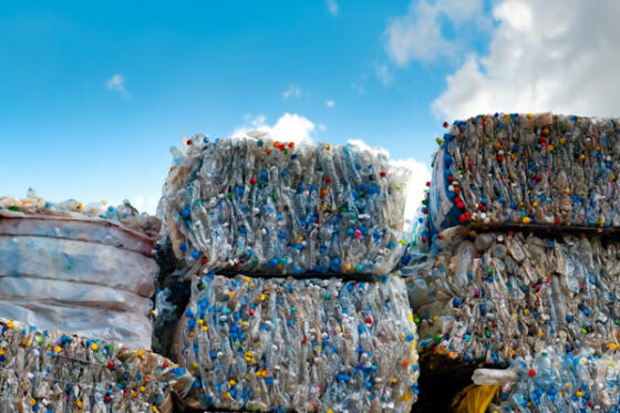 recyclage des déchets et économie circulaire