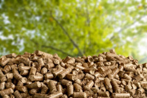 biomasse de granulés bois