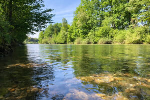 Chargé de mission GEMAPI 3 la rivière, un milieu-aquatique