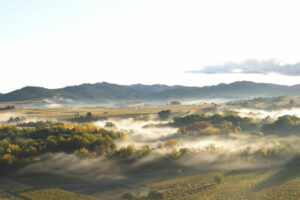 Agriculture et environnement : quels métiers, quelles perspectives en France ? 5 vignoble près de Carcassonne et Limoux
