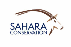 Chargé de programmes conservation de la biodiversité du Sahara et Sahel H/F 1 Sahara Conservation