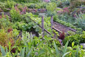 jardin rural en permaculture