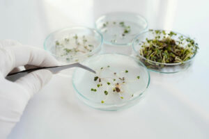 Services aux laboratoires de recherche 1 laboratoire de recherche en agronomie