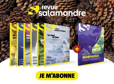 revue salamandre sur la nature