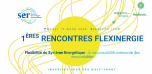 1ères rencontres Flexinergie à Lyon