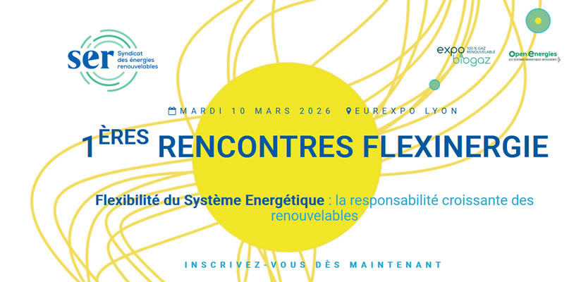 1ères rencontres Flexinergie à Lyon
