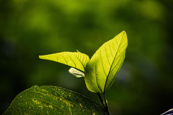 journée métiers de la biodiversité