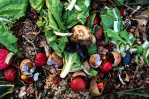 biodéchets et déchets organiques en décomposition